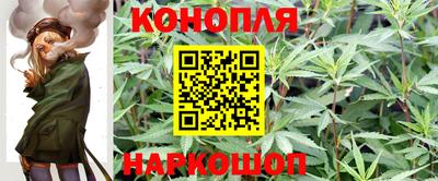 гидра Краснокаменск