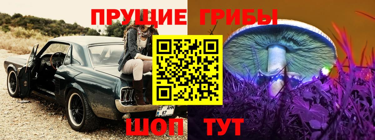 Красноуфимск  сколько стоит  Вход с VPN  Галлюциногенные грибы ЛСД 